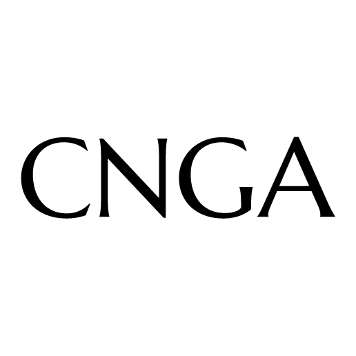 Arcanus AI Automation & Training